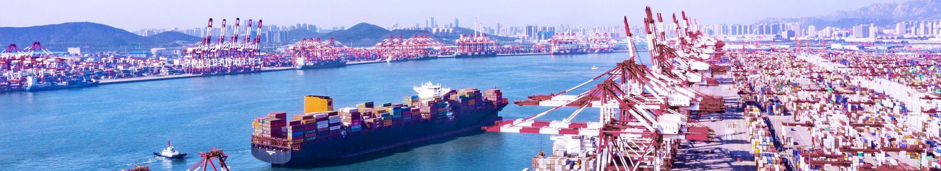 高強(qiáng)度卸扣和普通卸扣怎么區(qū)分？_了解起重鉗_新聞動(dòng)態(tài)_起重鉗,鋼板起重鉗,吊裝鉗,鋼板鉗,起重吊裝鉗-辰力集團(tuán)有限公司